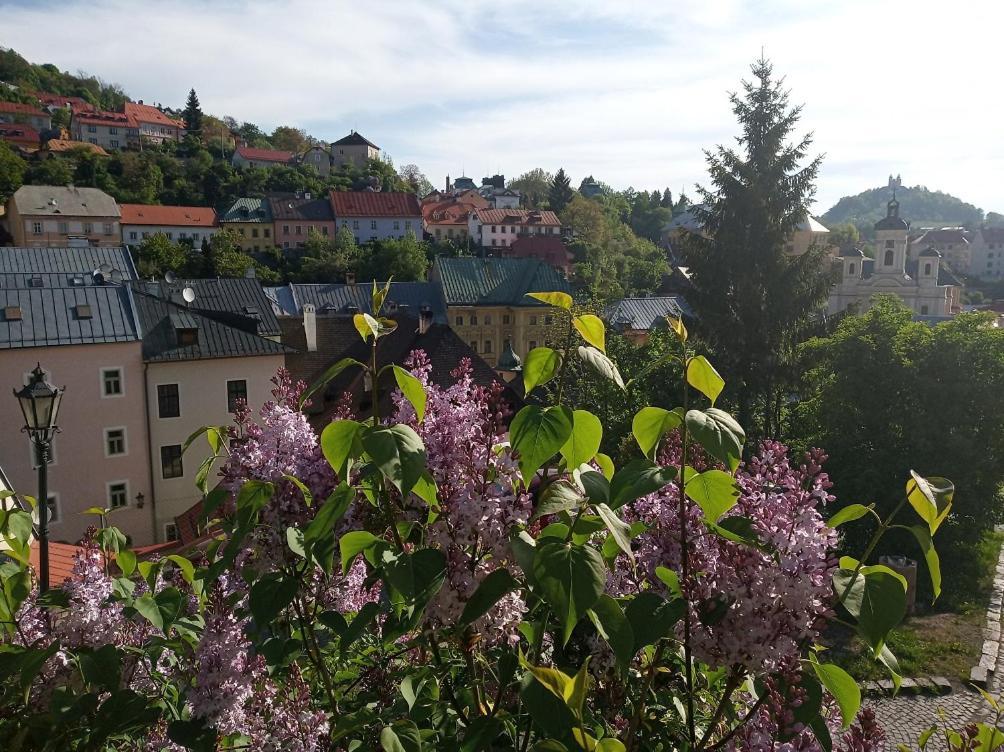 Banská Štiavnica Apartment Melita - The Very Centre Of Town מראה חיצוני תמונה